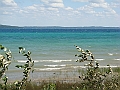 Western Michigan [2010] 551